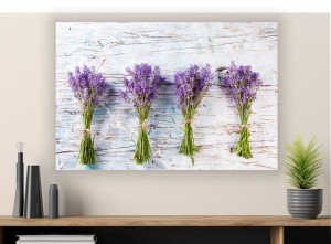 obraz na płótnie canvas lawenda kwiaty fiolet kwiat