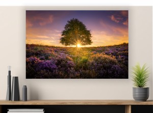 obraz na płótnie canvas LAWENDA DRZEWO ZACHÓD