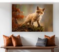 obraz na płótnie canvas LISEK NATURA