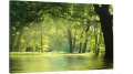 obraz na płótnie canvas LAS ZIELEŃ NATURA 