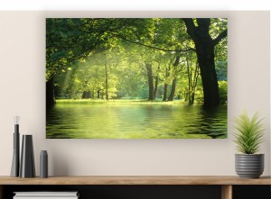 obraz na płótnie canvas LAS ZIELEŃ NATURA 