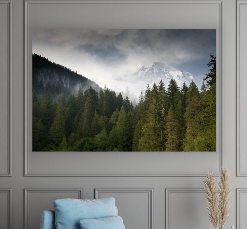 obraz na płótnie canvas Las Natura Mgła