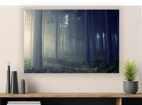 obraz na płótnie canvas LAS MGŁA NATURA