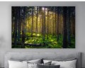 obraz na płótnie canvas LAS MECH NATURA