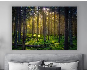 obraz na płótnie canvas LAS MECH NATURA