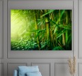obraz na płótnie canvas LAS BAMBUSOWY BAMBUS