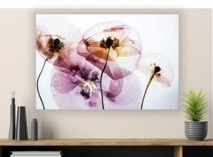 obraz na płótnie canvas Suche Kwiaty Kwiatki