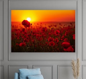 Obraz MAKI na płótnie DO SALONU SYPIALNI zachód słońca pole makowe