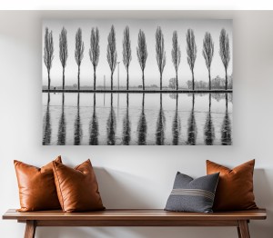 OBRAZ alejka drzew czarno biały obraz do salonu 