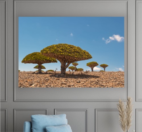 Obraz SMOCZE DRZEWA natura DO SYPIALNI CANVAS 