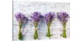 obraz na płótnie canvas lawenda kwiaty fiolet kwiat