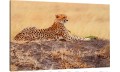 obraz na płótnie canvas LEOPARD AFRYKA