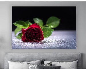obraz CZERWONA RÓŻA na płótnie canvas DO SALONU  
