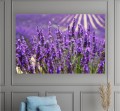 OBRAZ lawenda kwiaty DO SALONU SYPIALNI 