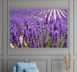 OBRAZ lawenda kwiaty DO SALONU SYPIALNI 