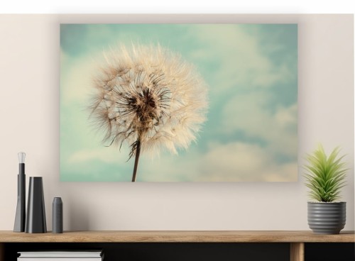 Obraz DMUCHAWIEC na płótnie do salonu sypialni 