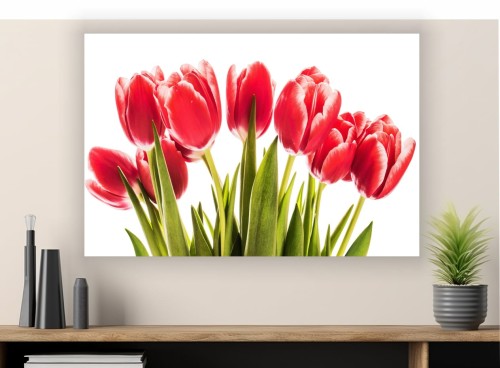 obraz KWIATY TULIPANY na płótnie canvas do sypialni