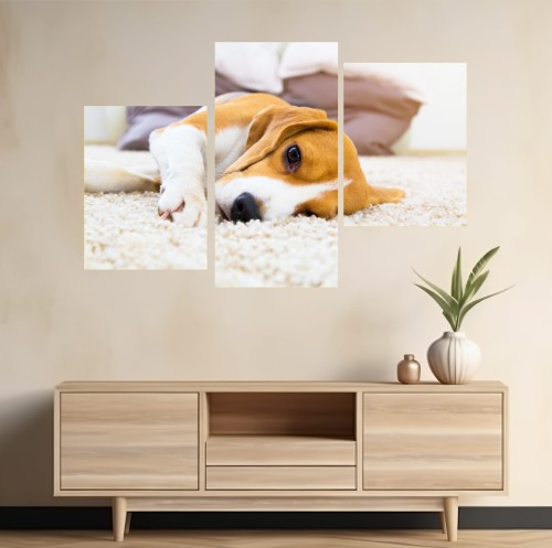 Obraz z psem ZWIERZAKI BEAGLE PIES PUPIL tryptyk 