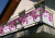 Osłona balkonowa osłona na balkon kwiaty.png