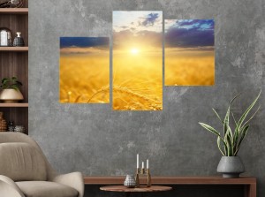 ZBOŻE obraz na płótnie canvas POLA W SŁOŃCU 