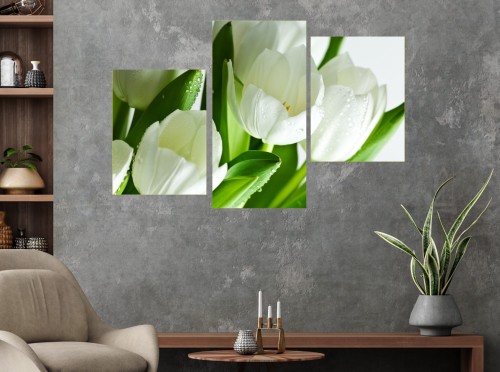 Tulipan OBRAZ białe tulipany CANVAS NA PŁÓTNIE TRYPTYK