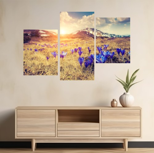 Obraz na płótnie Pole krokusy kwitnące wiosną w górach