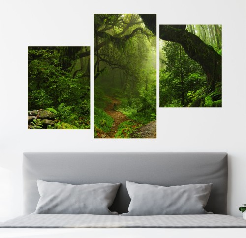 OBRAZ tropikalny las ścieżka w dżungli Tryptyk 3 częściowy