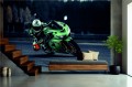 FOTOTAPETA DO SALONU ŚCIENNA Ciemne Zielone Kawasaki Ninja Zx-10R