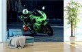 FOTOTAPETA DO SALONU ŚCIENNA Ciemne Zielone Kawasaki Ninja Zx-10R