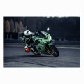 FOTOTAPETA DO SALONU ŚCIENNA Ciemne Zielone Kawasaki Ninja Zx-10R