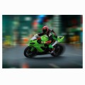 FOTOTAPETA DO SALONU ŚCIENNA Zielone Kawasaki Ninja Sport Bike