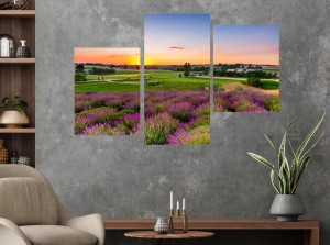Obraz LAWENDA krajobraz Prowansja zachód słońca 