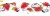 nkp_3091 (2).jpg