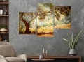 Obraz do salonu  DRZEWO OLIWNE GAJ tryptyk