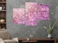 Obraz 3d DRZEWO KWIATY WIŚNI canvas na ścianę 