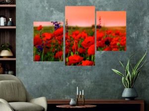 OBRAZ MAKI POLNE KWIATY canvas na płótnie 