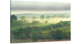 obraz na płótnie canvas mgła las drzewa mazury