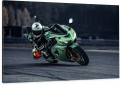 OBRAZ NA ŚCIANE JASNO ZIELONE KAWASAKI ZX-10R NINJA JAZDA NA TORZE