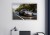 car33 w1.jpg