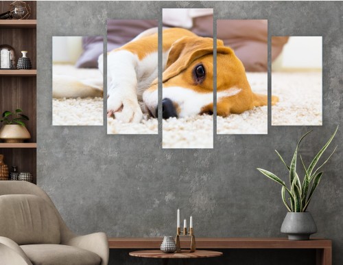 obraz 5 części tryptyk BEAGLE PIES PUPIL 