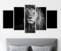 Obraz wieloczęściowy 5 części tryptyk CZARNO BIAŁY LEW 
