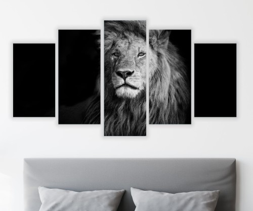 Obraz wieloczęściowy 5 części tryptyk CZARNO BIAŁY LEW 