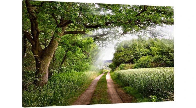 NATURA DROGA ZIELEŃ  o-1498.jpg