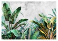 Fototapeta na ścianę tropikalne rośliny egzotyczne klimaty 