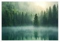 Fototapeta na ścianę do salonu sypiali LAS WE MGLE JEZIORO ODBICIE NATURA