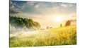 obraz na płótnie canvas SŁOŃCE ZIELEŃ NATURA