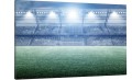 obraz na płótnie canvas STADION MURAWA