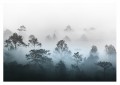 Fototapeta ścienna Mglisty świt drzewa za mgłą natura do sypialni salonu