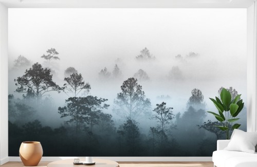 Fototapeta ścienna Mglisty świt drzewa za mgłą natura do sypialni salonu