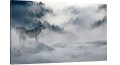 obraz na płótnie canvas wilk las mgła 